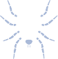 spider graphic